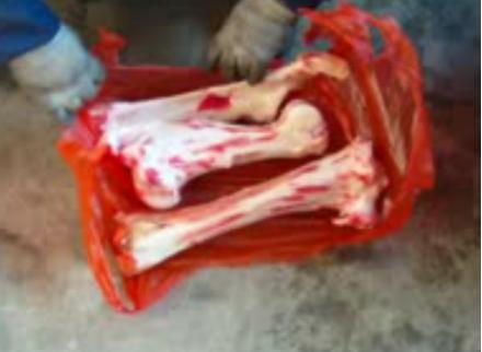 Mesin Pengolah Daging Wijen Kakao Baja Karbon Stainless Steel Penghancur Tulang Ayam 6