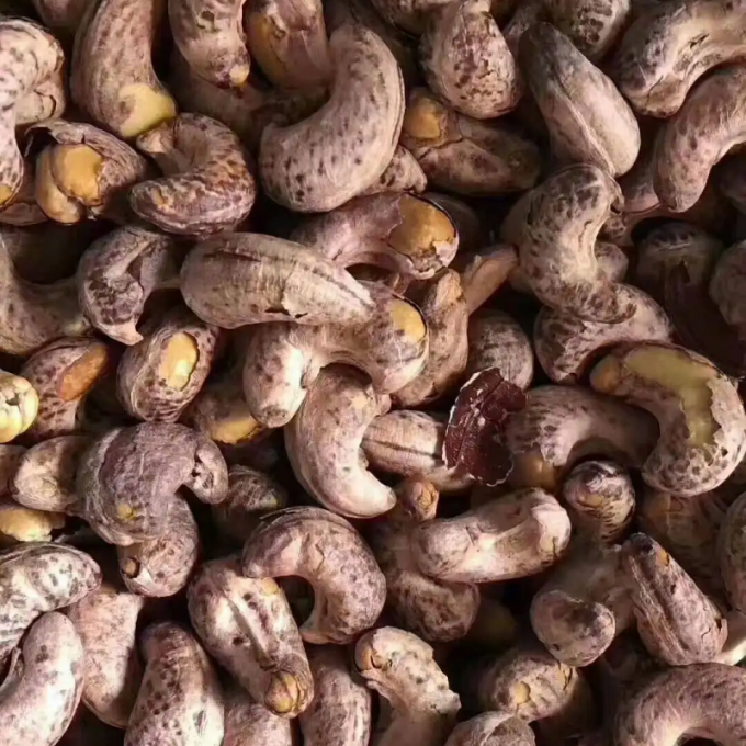 Grading Mesin Pemanggang Kacang Komersial Mesin Pengupas Kacang Mete 8