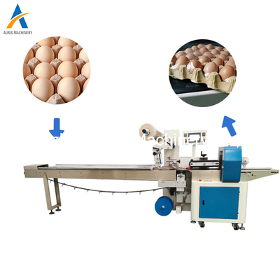 Pizza Flow Automatic Food Packing Machine Seal Pillow Packing Machine