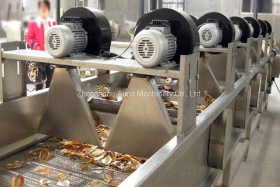 Mesin Pengolah Kacang Kernel Blanching Mesin Pengupas Kacang Mete Kenari