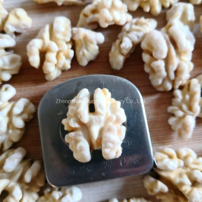 Mesin Pengolah Kacang Kernel Blanching Mesin Pengupas Kacang Mete Kenari