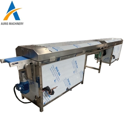 Enrobing Chocolate Tempering Machine Biscuit Candy Moulding Machine Cooling Tunnel