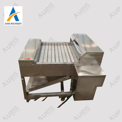 Filleting Cutter Mesin Pengiris Ikan Mengolah Dan Memotong Hairtail Beku